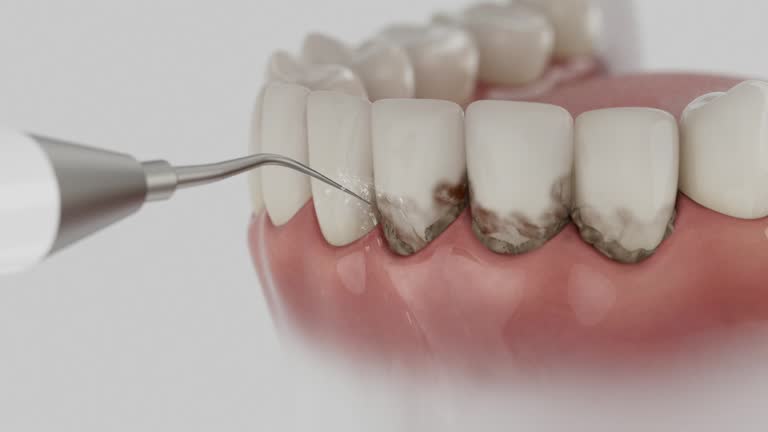 Reliable Dental contractor in Marinette, WI by Dentist Open Now